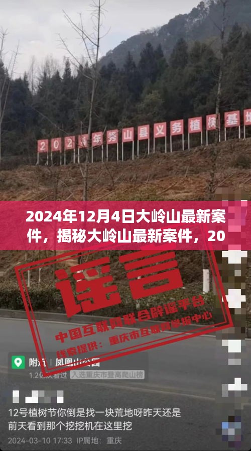 揭秘大嶺山最新案件內(nèi)幕，深度剖析大嶺山事件真相（2024年12月4日）