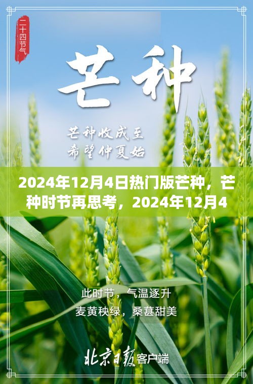 建議，芒種時(shí)節(jié)再思考，2024年熱門版芒種的深層意義與影響