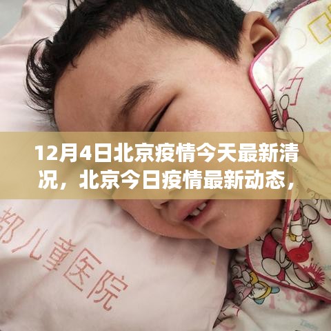 北京疫情最新動(dòng)態(tài)，背景、進(jìn)展與影響，今日疫情最新情況分析（12月4日）