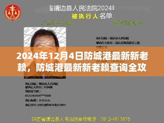 防城港最新新老賴查詢指南（2024年12月版），從初學(xué)者到進階用戶全面攻略