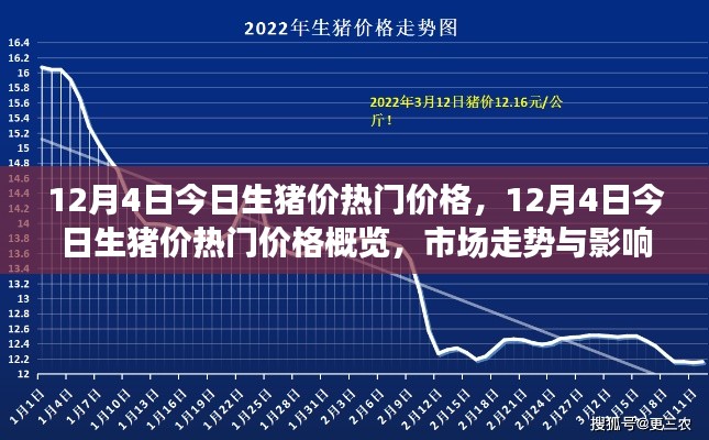 12月4日生豬價(jià)熱門概覽，深度解析市場走勢與影響因素