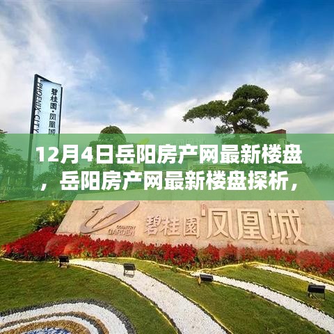 岳陽(yáng)房產(chǎn)網(wǎng)最新樓盤(pán)深度解析，投資價(jià)值的探究