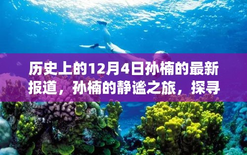 孫楠的靜謐之旅，探尋自然美景與內(nèi)心力量的歷史報道（12月4日最新）
