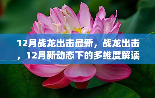 戰(zhàn)龍出擊，12月新動態(tài)多維度解讀