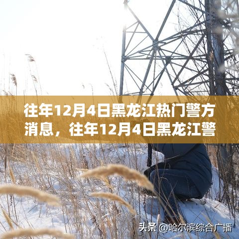 黑龍江警方警務(wù)動態(tài)熱點(diǎn)聚焦，警務(wù)影響分析與公眾關(guān)注焦點(diǎn)解讀