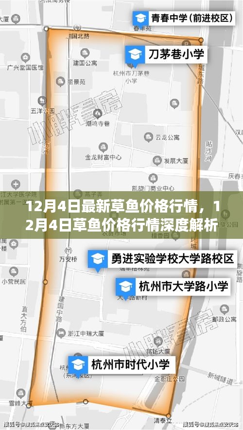 12月4日草魚價格行情解析，市場走勢、影響因素及選購指南