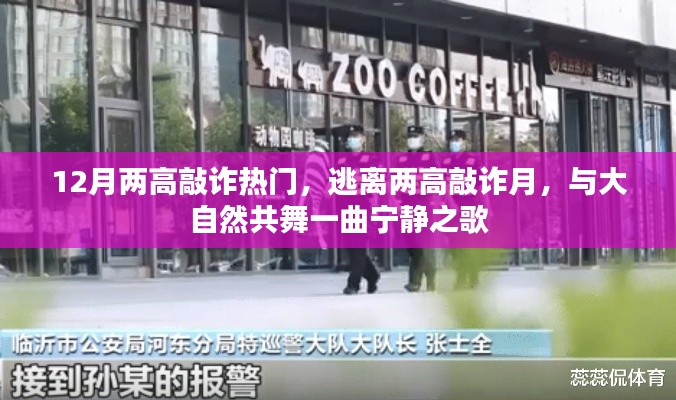 12月熱門敲詐事件，逃離高壓，與自然共舞寧靜之歌