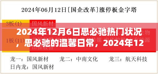 思必馳溫馨日常，揭秘2024年12月6日的奇妙時(shí)光