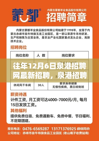 泉港招聘網(wǎng)獨(dú)家速遞，歷年12月6日最新招聘信息大盤點(diǎn)與往年招聘動(dòng)態(tài)回顧