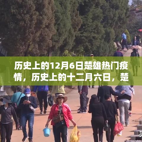 歷史上的十二月六日，楚雄疫情風(fēng)云變遷回顧