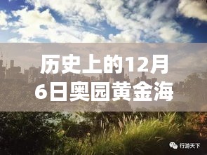 揭秘黃金海岸，歷史上的12月6日最新動態(tài)與發(fā)展歷程揭秘