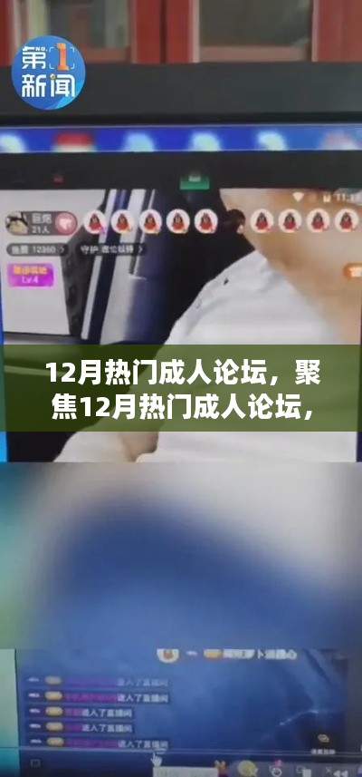 涉黃問(wèn)題的深度探討，12月熱門(mén)成人論壇聚焦