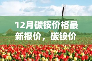 碳銨價(jià)格最新動(dòng)態(tài)，與自然美景相遇，探尋內(nèi)心寧?kù)o之旅