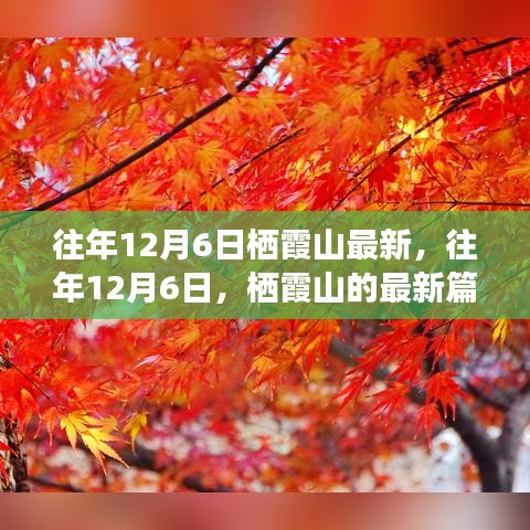 往年12月6日棲霞山深度解析，歷史、事件與地位的新篇章