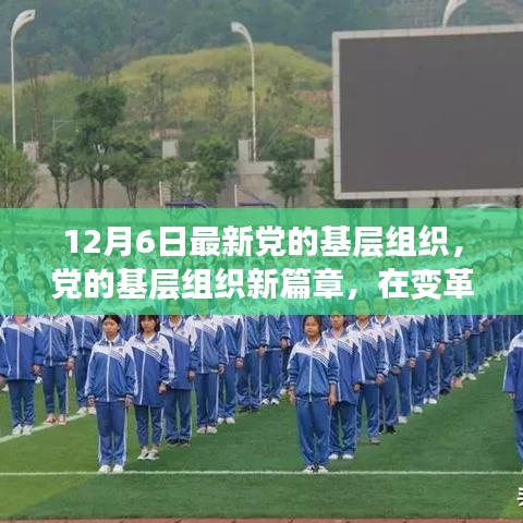 變革之光，黨的基層組織新篇章，12月6日最新發(fā)展