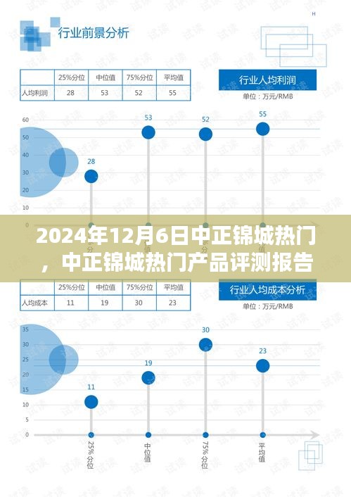 2024年12月6日中正錦城熱門，中正錦城熱門產(chǎn)品評(píng)測(cè)報(bào)告——深度解析與用戶體驗(yàn)分享（XXXX年XX月XX日版）
