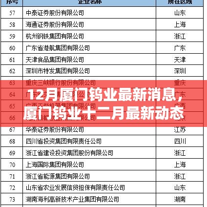 廈門鎢業(yè)十二月最新動態(tài)概覽，最新消息概覽