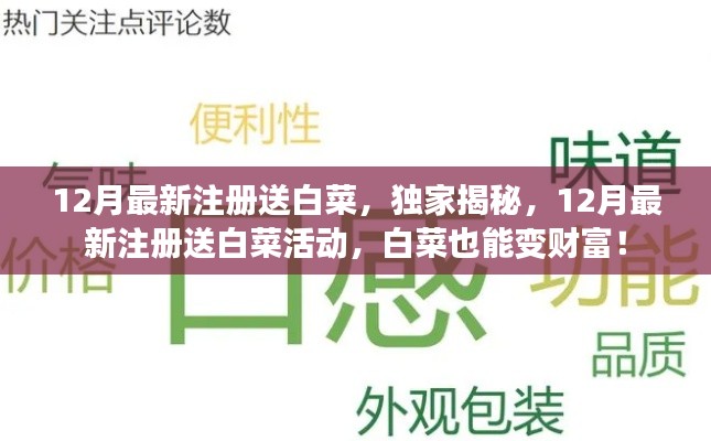 獨家揭秘，12月最新注冊送白菜活動，白菜也能變財富狂歡！