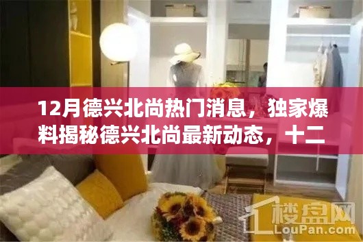 獨(dú)家爆料，德興北尚十二月最新動(dòng)態(tài)揭秘，震撼消息一網(wǎng)打盡！