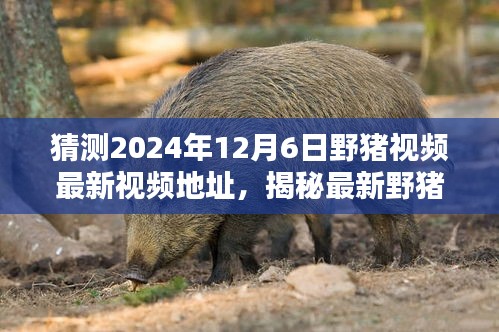 回眸最初 第6頁