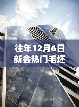 揭秘新會熱門毛坯二手樓市，購房者三大關(guān)注點解析（往年12月6日）
