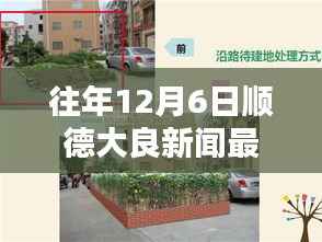 順德大良?xì)v年十二月六日新聞回顧與影響深度探析，最新消息一覽
