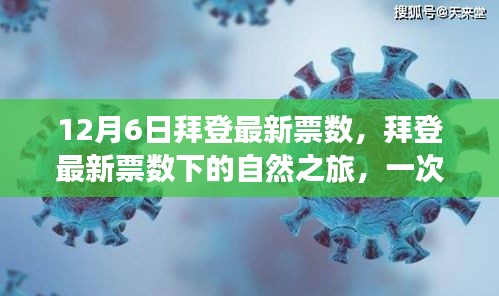 拜登最新票數(shù)背后的奇妙心靈之旅，尋找內心平靜的探險之旅