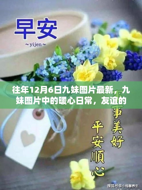 往年12月6日九妹圖片回顧，暖心日常與友誼的溫馨回憶
