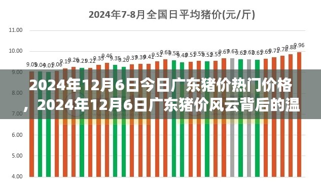 廣東豬價風云背后的溫情故事，最新價格動態(tài)與深度解讀