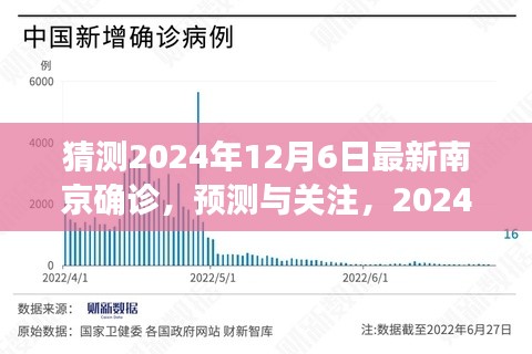 2024年12月6日南京最新確診動態(tài)深度解析與預測關注