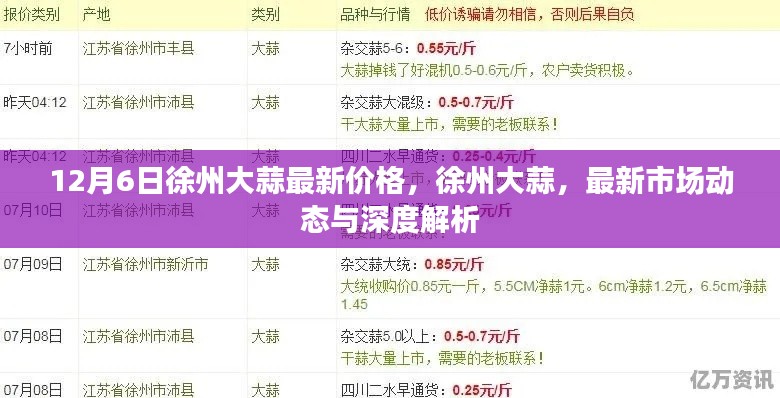 徐州大蒜最新價格動態(tài)，深度解析與市場走勢預(yù)測
