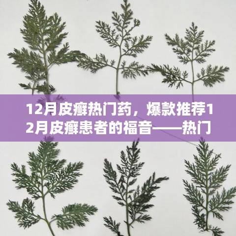 12月皮癬熱門藥物大盤點(diǎn)，爆款推薦與患者的福音