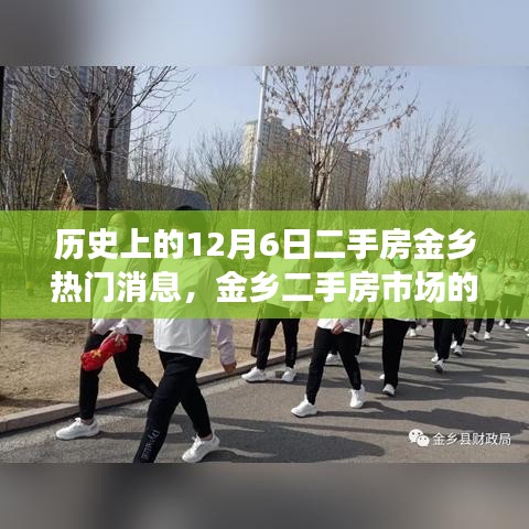 特別的日子，金鄉(xiāng)二手房市場溫馨故事回顧——12月6日熱門消息揭秘