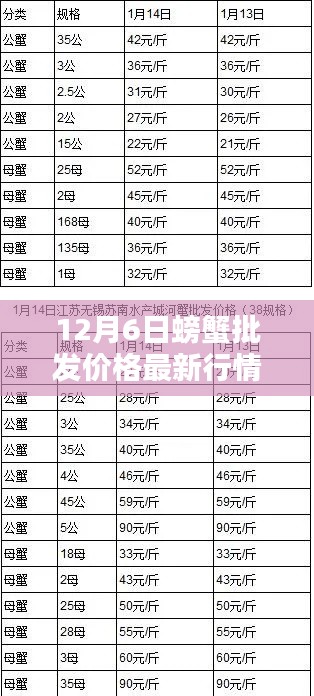 12月6日螃蟹批發(fā)價格最新行情，12月6日螃蟹批發(fā)價格最新行情詳解，入門指南與關(guān)鍵步驟
