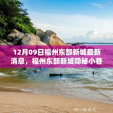 12月09日福州東部新城最新消息，福州東部新城隱秘小巷中的寶藏小店，12月獨(dú)家新鮮探秘