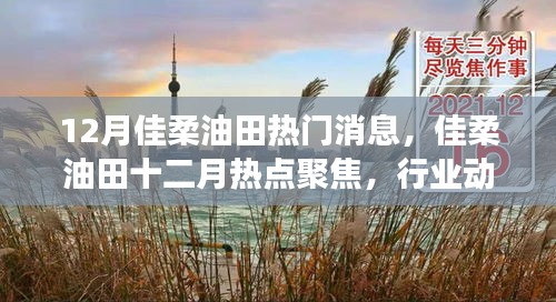 佳柔油田十二月動(dòng)態(tài)，行業(yè)熱點(diǎn)聚焦與技術(shù)進(jìn)展