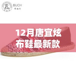 唐宜炫布鞋最新科技風(fēng)尚款，融合傳統(tǒng)與智能，引領(lǐng)時(shí)尚新潮流的價(jià)格揭秘