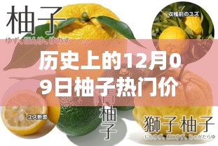 揭秘柚子歷史價格，柚子價格查詢?nèi)ヂ裕ㄟm合初學者與進階用戶）