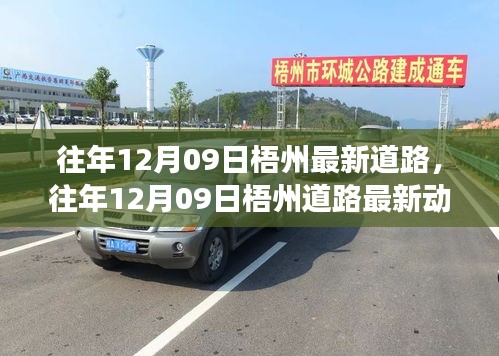 puzhangyangli 第4頁