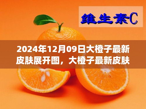 大橙子最新皮膚展開(kāi)圖評(píng)測(cè)與介紹，2024年12月09日獨(dú)家報(bào)道
