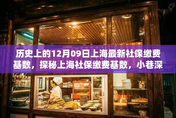 探秘上海社保繳費基數(shù)，歷史變遷中的特色小店與獨特風(fēng)情（上海最新社保繳費基數(shù)解析）