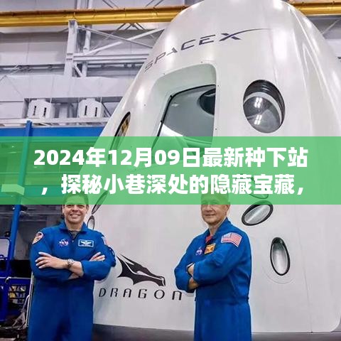 探秘最新種下站，小巷深處的隱藏寶藏與特色小店推薦（2024年12月09日）