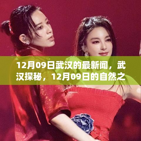 武漢探秘，尋找內心的寧靜與平和——武漢最新新聞與自然之旅