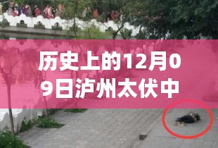 瀘州太伏中學(xué)，追尋內(nèi)心平靜的旅程啟程于十二月九日，自然美景啟示心靈之旅