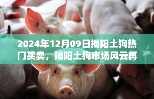 揭陽(yáng)土狗市場(chǎng)風(fēng)云再起，2024年12月09日熱門買賣回顧