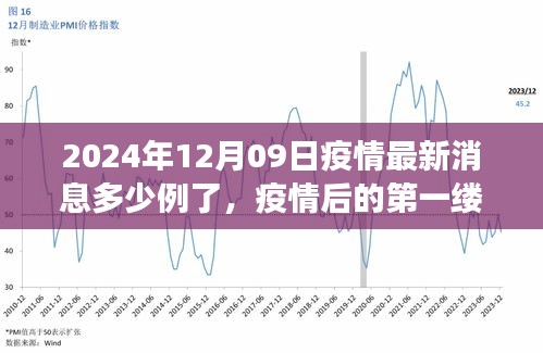 疫情最新消息下的自然美景之旅，啟程尋找內(nèi)心的寧靜港灣（2024年12月09日）