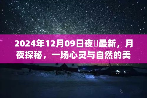 月夜探秘，心靈與自然的邂逅——記2024年12月09日夜廻之旅