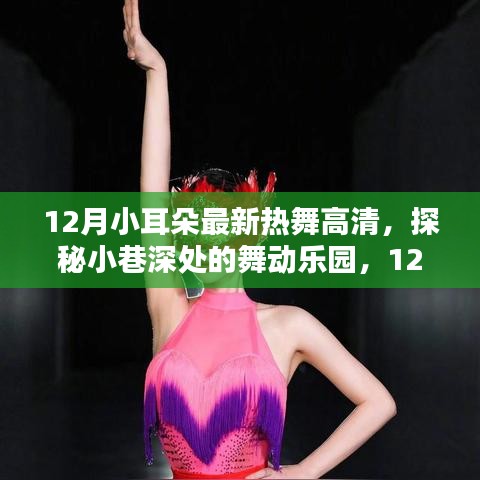 揭秘十二月小耳朵熱舞背后的秘密，小巷深處的舞動(dòng)樂(lè)園