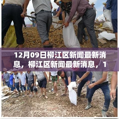 柳江區(qū)新聞回顧與最新動(dòng)態(tài)，12月09日影響及消息一覽