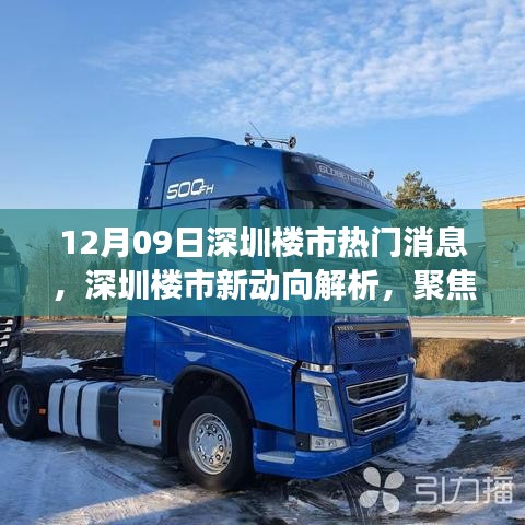 深圳樓市新動(dòng)向解析，聚焦十二月九日熱門消息